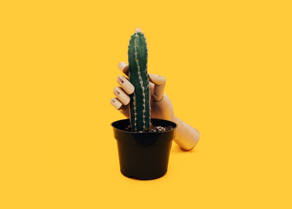 Puinen käsi puristaa piikkistä kaktusta.