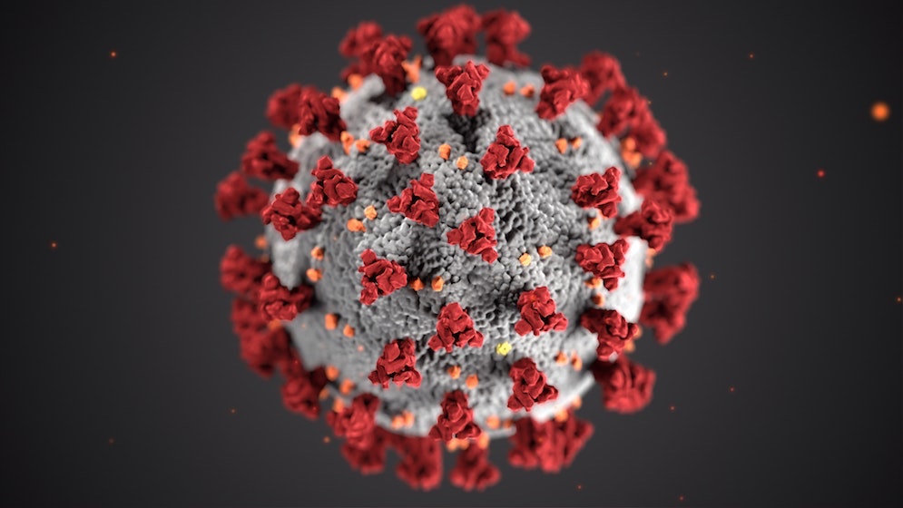 Koronavirus suurennettuna mikroskooppikuvassa.