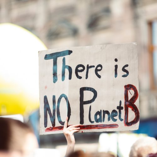 Mielenosoituskyltti, jossa lukee: There is no Planet B (Planeetta B:tä ei ole).
